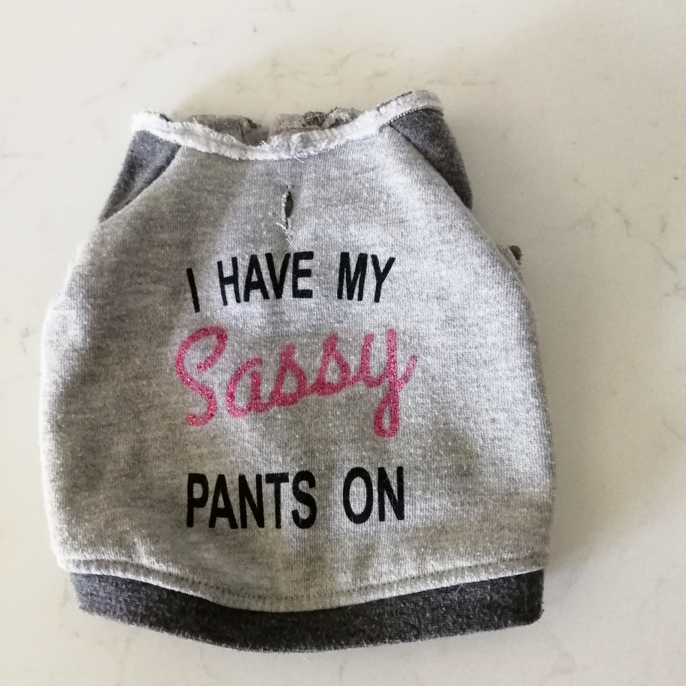 Gray and Pink Kids Sassy Pants Sweatshirt